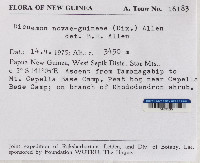 Dicnemon novae-guineae image