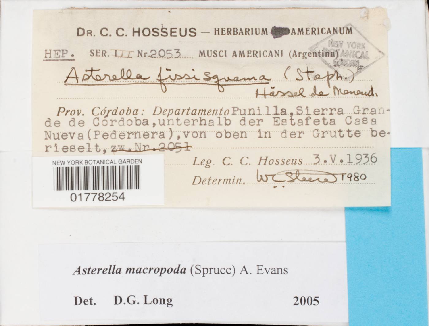 Asterella macropoda image
