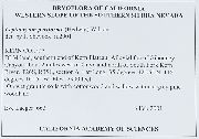 Leptobryum pyriforme image