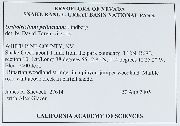 Orthotrichum pellucidum image