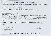 Polytrichum commune image