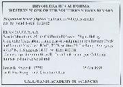 Didymodon brachyphyllus image
