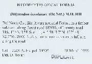 Didymodon insulanus image