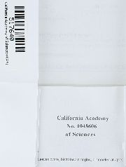 Didymodon nicholsonii image