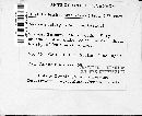 Rhytidiadelphus triquetrus image